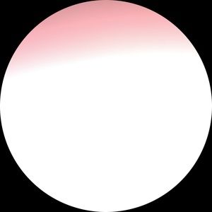 Meet your Posher, Mia